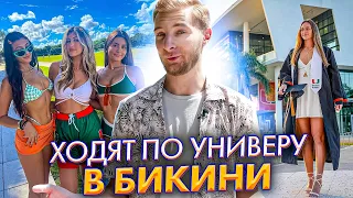 Круче, чем в кино! 🇺🇸 Настоящий американский колледж University of Miami // образование в Америке