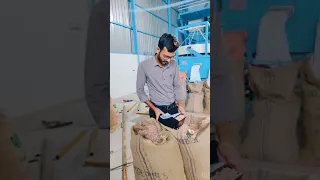 groundnut machine plant