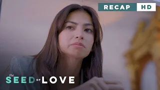 The Seed of Love: Eileen's uncertain future (Weekly Recap HD)