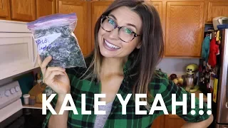 HOW TO FREEZE KALE!