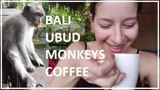 BALI: UBUD (Monkey Forest, Luwak (poop) Coffee, Rice Terraces) // Indonesia Dec. 23-24th