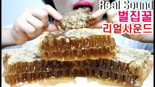 달콤한!! 통 벌집꿀 리얼사운드 먹방 |HONEYCOMB ASMR Real Sounds|ハニカム马蜂窝tổ ong Eating Show