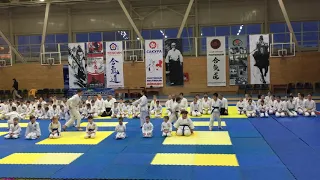 Ежегодный фестиваль айкидо “Сакура-2019”, часть 1 | Aikido | 合気道