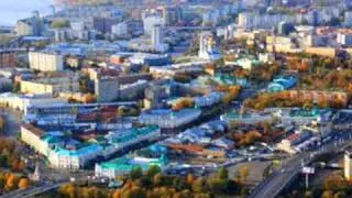 Городские цветы