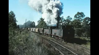 Steam on the South Maitland Railways