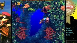 Donkey Kong Country 3 Speedrun (Any%) RTA 00:56:38 - 1 / 4