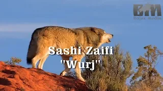 Sashi Zaifi  "The Wurj" -2019