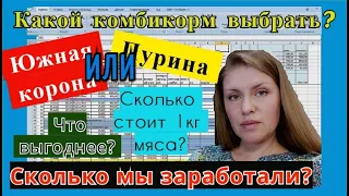 Южная корона или Пурина? Сколько я заработала на партии бройлеров. Чем кормить бройлера?