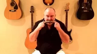How to Play Harmonica Sections for Heart of Gold, Key of G - Neil Young (cover)