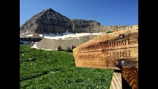 Timpanogos Summit Hike from Timpooneke TH