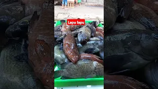 lapu lapu #fresh #lapulapu #shortvideo #satisfying #viral