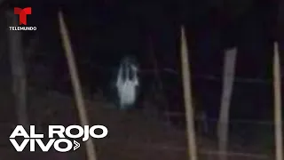 En video: Hombre asegura haber grabado a la Llorona entre los árboles frente a su casa