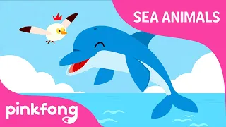 Click Click Dolphin | Sea Animals Song | Dolphin Song | Pinkfong Songs for Children