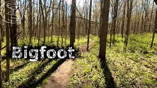 Bigfoot | Original Creepypasta