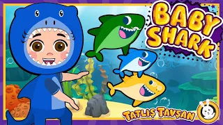 Baby Shark | Eğitici Ve Eğlenceli Bebek ve Çocuk Şarkısı | Çizgi Film | Tatlış Tavşan