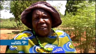 Pretoria woman, Mama Mary Lwate starts a moringa herbal tree farm