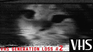 VHS Generation Loss 2 (my cat)