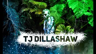 ТИ ДЖЕЙ ДИЛЛАШОУ/ TJ DILLASHAW