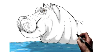 How To Draw a Hippo | Step By Step