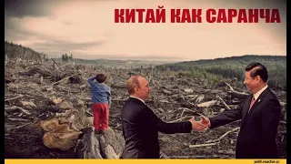 ВНИМАНИЕ! СМОТРЕТЬ ВСЕМ! ИДЕТ ТОТАЛЬНОЕ УНИЧТОЖЕНИЕ СТРАНЫ!