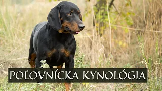 Poľovníctvo : Kynológia č.1