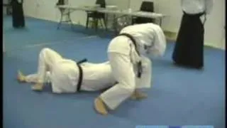 Beginning Aikido Techniques : Katate Dori-Shiho Nage Japanese Aikido Techniques