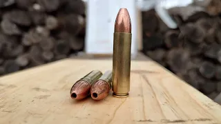 450 BM Rex Bullets Test