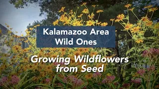 Growing Wildflowers from Seed - Tom Noland, Wild Ones