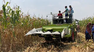 Claas Crop Tiger 40 Combine Harvester Demonstration