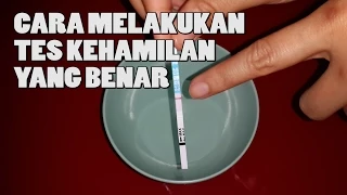 Cara Melakukan Tes Kehamilan Yang Benar