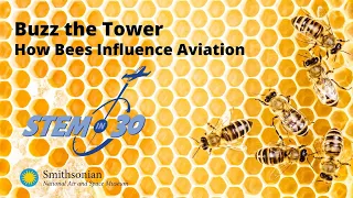 Buzz the Tower: How Bees Influence Aviation - STEM in 30