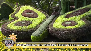 ENTRE ANIMALES, UNA TARDE EN EL PARQUE DE LAS LEYENDAS