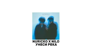 Nuricko X NILO Унеси река (час)