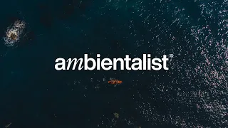 The Ambientalist - When Silence Speaks