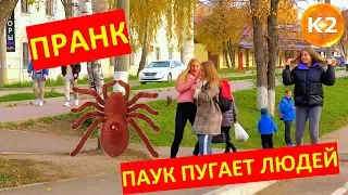 К2 ПРАНК - БОЛЬШОЙ ПАУК ПУГАЕТ ЛЮДЕЙ