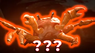 10 CRAB RAVE SOUND VARIATIONS IN 30 SECONDS