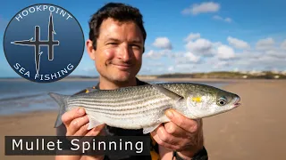 Complete Guide to Mullet Spinning - Catch Thick Lips, Thin Lips and Golden Greys on Baited Spinners