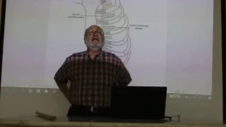 Respiratory module 18 ( thoracic wall . part 2 ) by , Dr. Wahdan