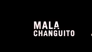 Mala   Changuito