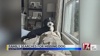 NY family searches for dog lost in Fayetteville during trip to Florida
