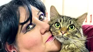 Amazing three legged cat meets crazy cat lady and they fall in love !