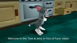 Tom & Jerry in Fists of Furry: Overview (and Sequel Comparison)