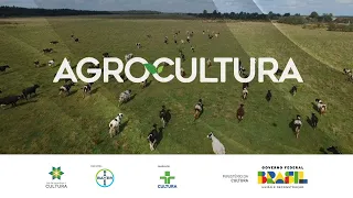 Agrocultura | PRODUÇÃO DE LÚPULO NO BRASIL - 24/09/23