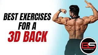 3D Back Workout | 6-Day Ultimate Mass Gain Workout Routine