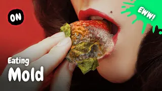 What Happens When You Eat Mold?