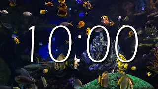 Aquarium - 10 MINUTE TIMER Sea Animals With Relaxing Music