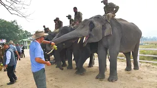 G20 Delegates visit Kaziranga National Park, a UNESCO world heritage site