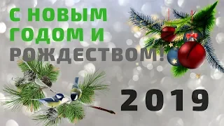 Красивое поздравление с Новым 2019 годом /Новогоднее поздравление 2019