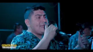 Tu eres malévola (Darwin torres & orquesta) "los tigres"  número de contratos al 944464060