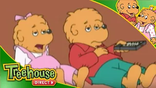 The Berenstain Bears - Fun With Siblings